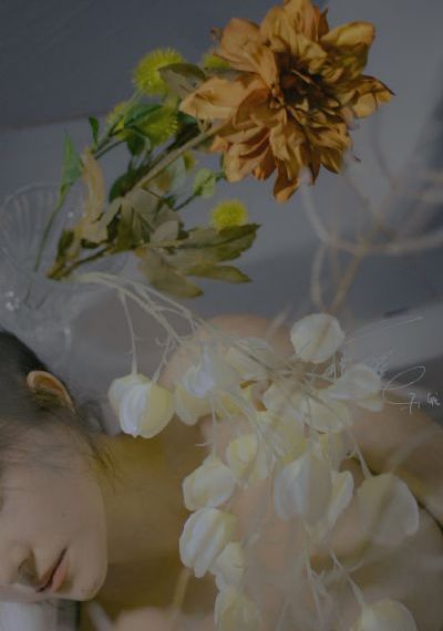 夺冠在线观看_高清免费HD高清完整电影